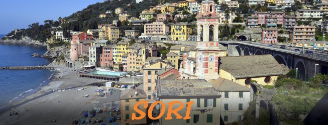 sori
